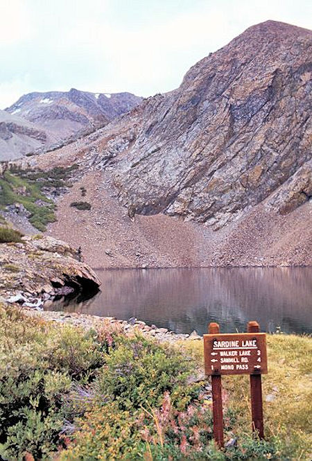 Lower Sardine Lake