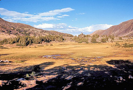 We camped in a clump of trees just west of Mono Pass inside the Park (which is now illegal.. no camping in the Dana Fork drainage) .. this is the view back toward Mono Pass