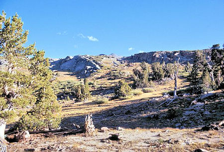 View southwest from our camp near Mono Pass