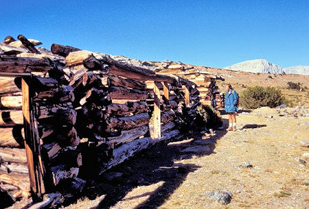 Kevin Twohey checks out mine cabins circa 1890's at Mono Pass