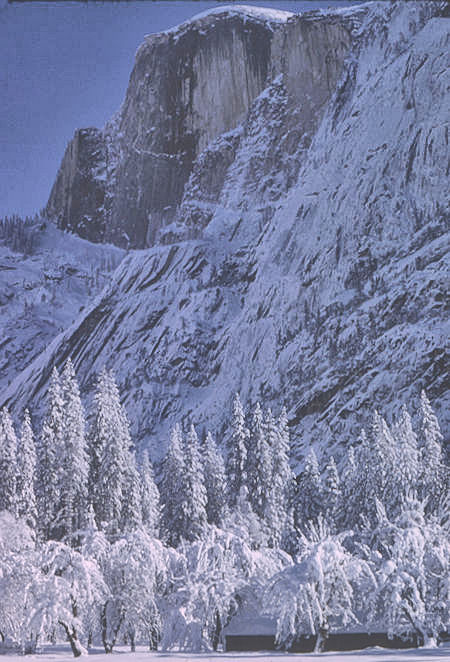 Half Dome from near Stables in Yosemite Valley - Yosemite National Park - 01 Jan 1966