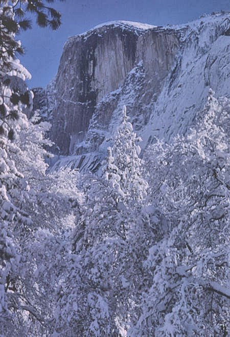 Half Dome from Stables in Yosemite Valley - Yosemite National Park - 01 Jan 1966