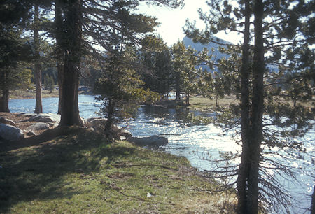 Spring runoff in Tuolumne Meadow - Yosemite National Park 27 May 1972