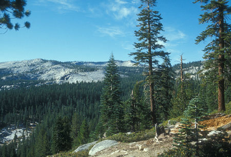 Buena Vista Crest - Yosemite National Park - Aug 1973