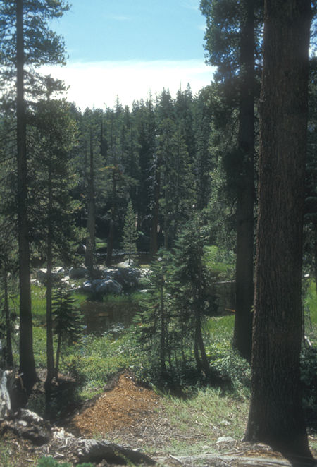 Along the Buena Vista Trail - Yosemite National Park - Aug 1973