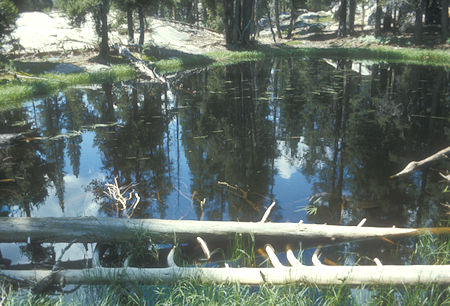 Stagnant Pool near head of South Fork Merced River - Yosemite National Park - Aug 1973