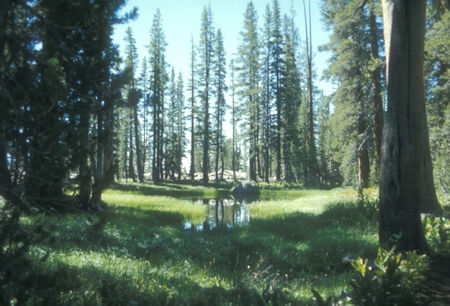 Morain Meadow area, trail to Merced Pass - Yosemite National Park - Aug 1973