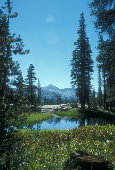 Gale Peak from Morain Meadow area - Yosemite National Park - Aug 1973