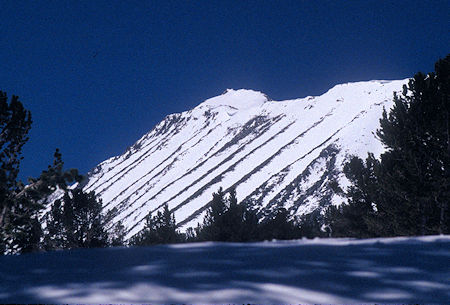 Mt. Starr from Hilton Lakes ridge - 1995
