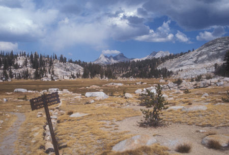 Long Meadow - Yosemite National Park - Sep 1975
