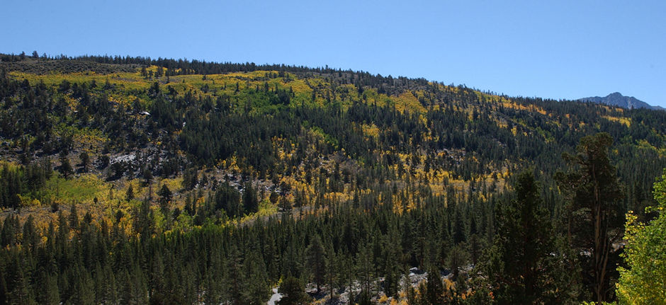 2004 Rock Creek Fall Colors