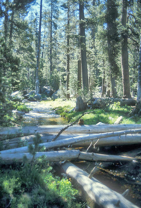 Stream crossing out of White Wolf - Yosemite National Park - 04 Jul 1973