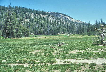 Half Moon Meadow - Yosemite National Park - 04 Jul 1973