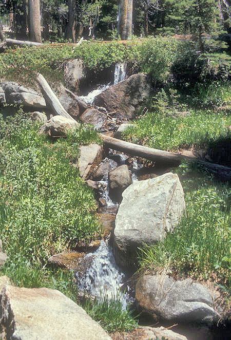 Side stream feeding South Fork Tuolumne River - Yosemite National Park - 05 Jul 1973