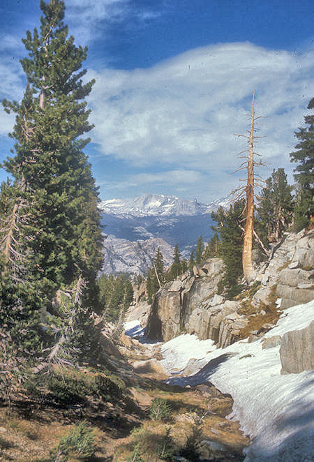 The gully where Paul Robotta and Everett Papp lost the trail - Yosemite National Park - 05 Jul 1973
