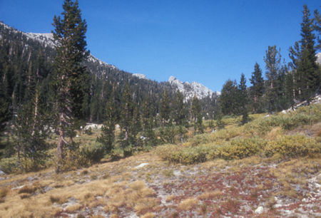 Head of Echo Creek - Yosemite National Park - Oct 1975