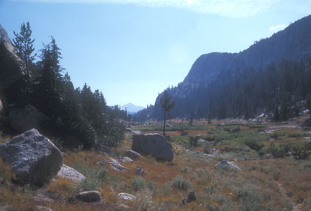 Upper Echo Creek - Yosemite National Park - Oct 1975
