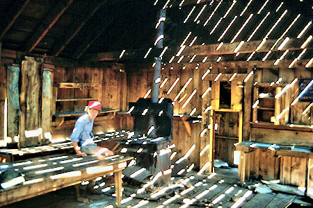 Jim inside old cabin at Lundy Mine - Hoover Wilderness 1980