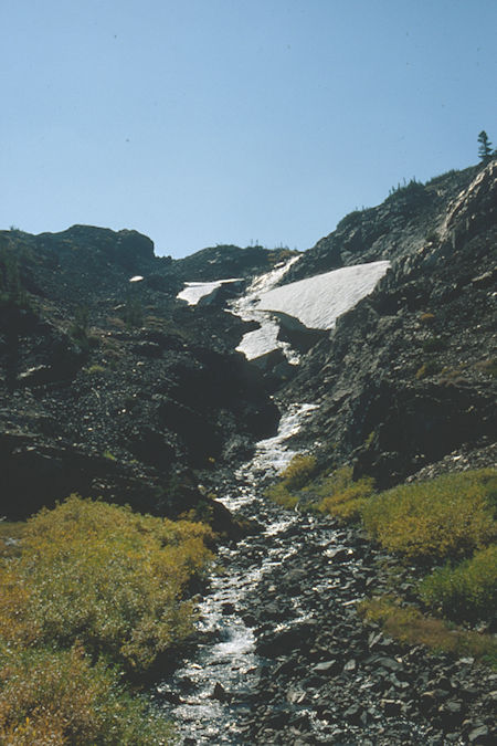 Lundy Canyon - Hoover Wilderness 1980
