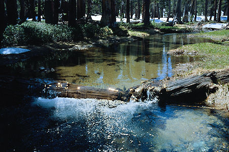 Green Creek below East Lake - Hoover Wilderness 1982
