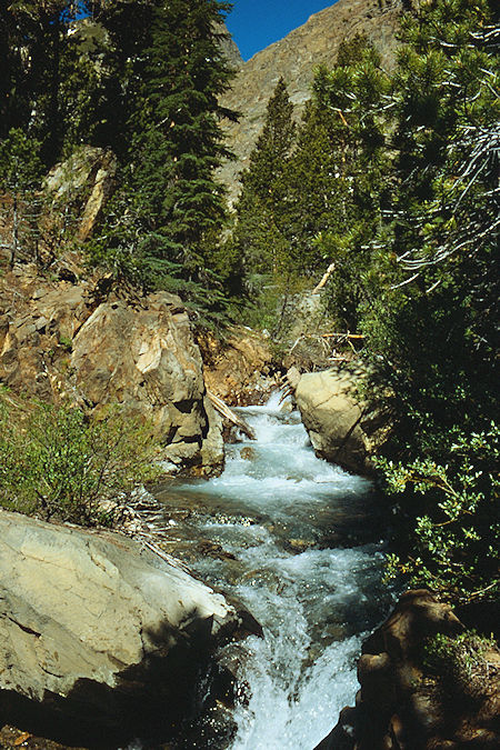 Glines Canyon - Hoover Wilderness 1989