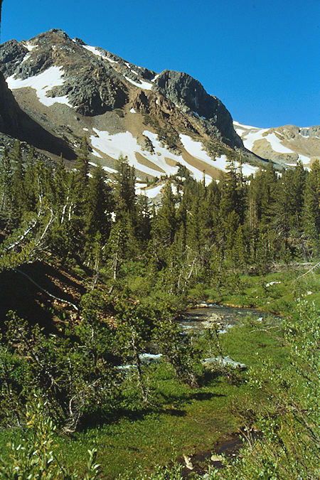 Glines Canyon - Hoover Wilderness 1989