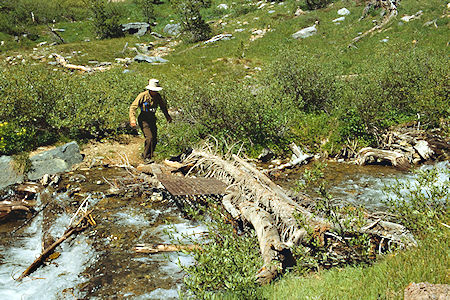 Gil Beilke crossing Par Value Creek - Hoover Wilderness 1989