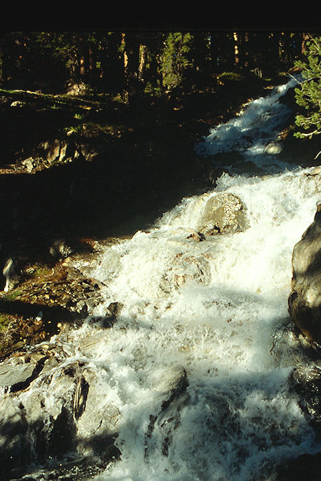Glines Canyon above camp - Hoover Wilderness 1989