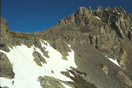 Gil Beile on the snow field checking animal tracks near Virginia Pass - Hoover Wilderness 1989