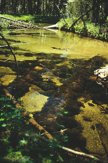 Lower Slide Canyon - Yosemite National Park 1990