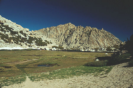 Meadow and Crown Point below Mule Pass - Hoover Wilderness 1990