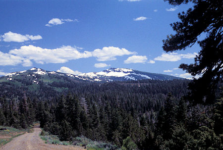 South Warner Wilderness from Forest Road 31