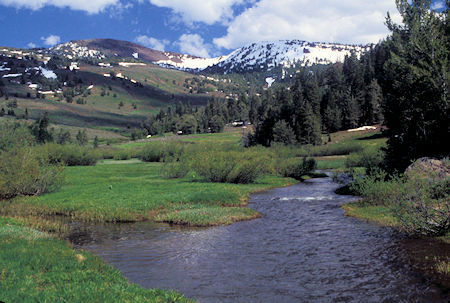 Creek and meadow in Pine Creek Basin on west side of South Warner Wilderness