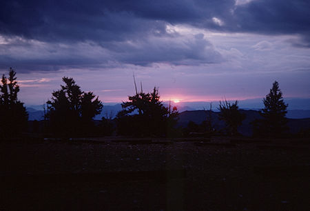 Sunrise at Patriarch Grove - White Mountains - Jul 1965