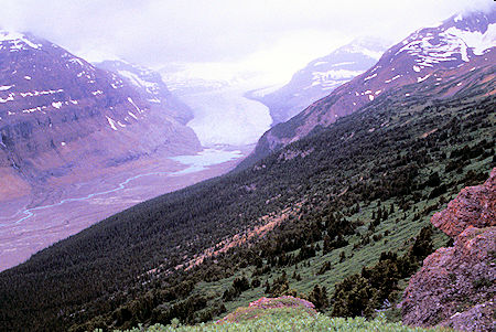 Saskatchewan Glacier, Banff National Park, Alberta