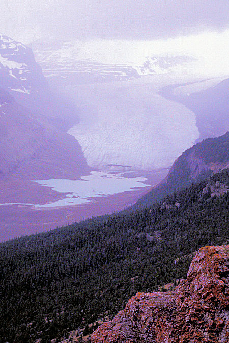 Saskatchewan Glacier, Banff National Park, Alberta