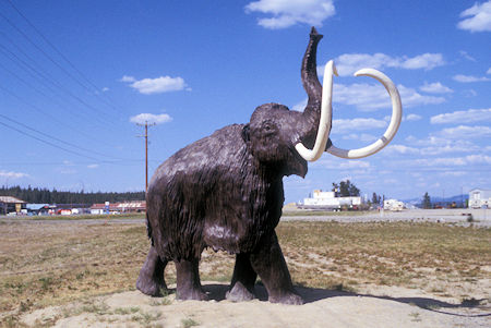 Mammoth exhibit, Beringia Museum, Whitehorse, Yukon Territory