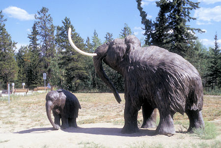 Mammoth exhibit, Beringia Museum, Whitehorse, Yukon Territory