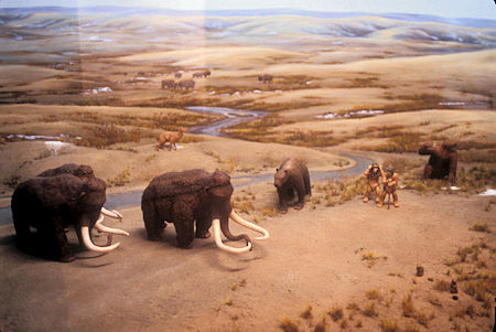 Beringia Museum, Whitehorse, Yukon Territory