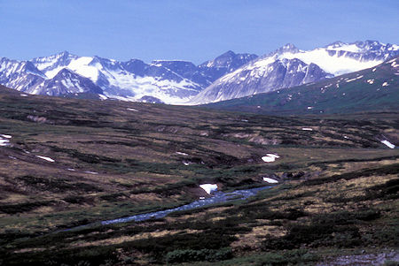 Chilkat Pass area, near Alaska/Canada border, British Columbia