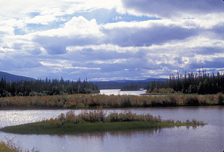 Yukon River about 25 miles north of Carmacks