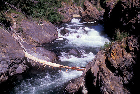 Takhanne River above Million Dollar Falls, Kluane national Park, Yukon Territory