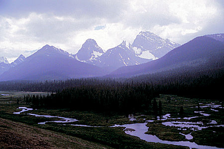 Peter Lougheed Provincial Park, Alberta