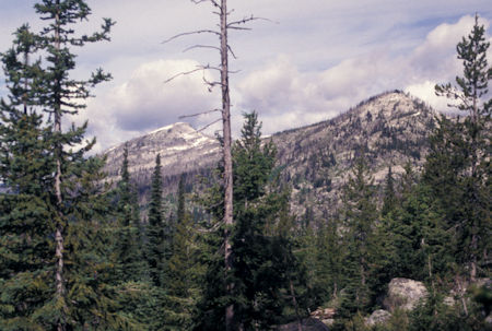 Bitterroot Mountains from Bear Lake/Fish Lake trail