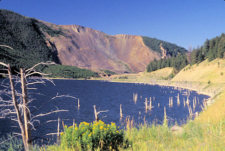 Earthquake Lake, Montana