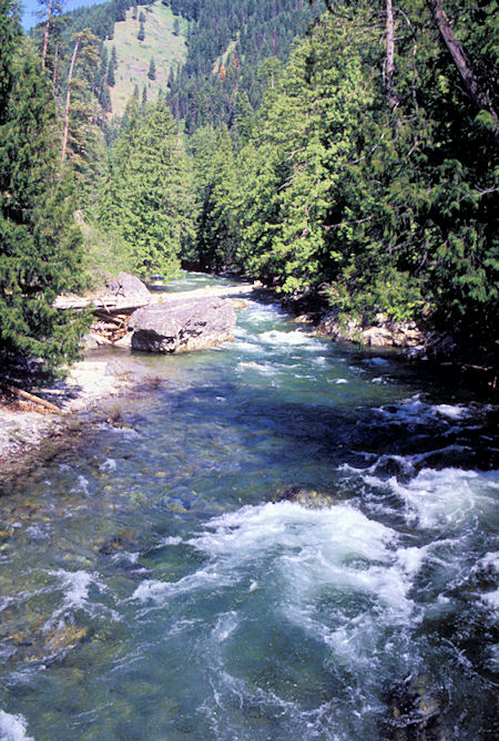 White Cap Creek at Paradise  bridge