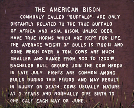 American Bison sign