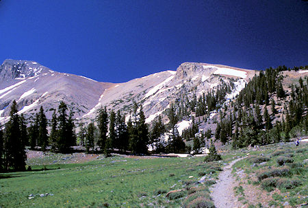 Ridge leading to Wheeler Peak - Great Basin National Park