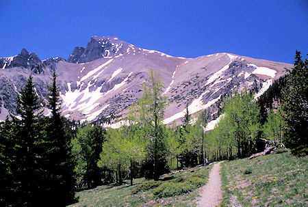Wheeler Peak and ridge from summit trail - Great Basic National Park