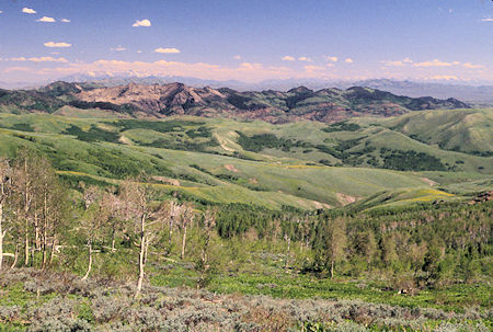 View from Coon Creek Summit on way to Jarbidge, Nevada